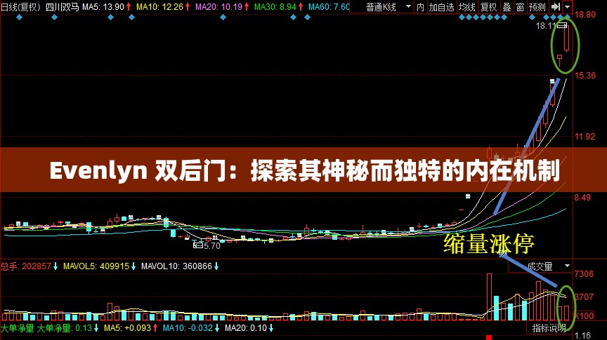 Evenlyn 双后门：探索其神秘而独特的内在机制