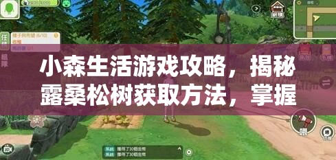 小森生活游戏攻略，揭秘露桑松树获取方法，掌握稀有资源解锁秘籍