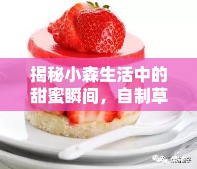 揭秘小森生活中的甜蜜瞬间，自制草莓蛋糕的详细步骤与全攻略