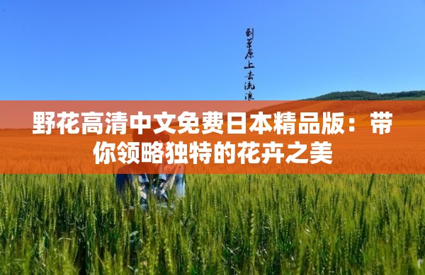 野花高清中文免费日本精品版：带你领略独特的花卉之美
