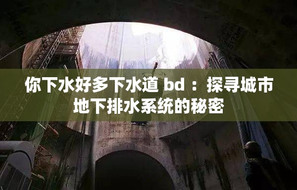 你下水好多下水道 bd ：探寻城市地下排水系统的秘密