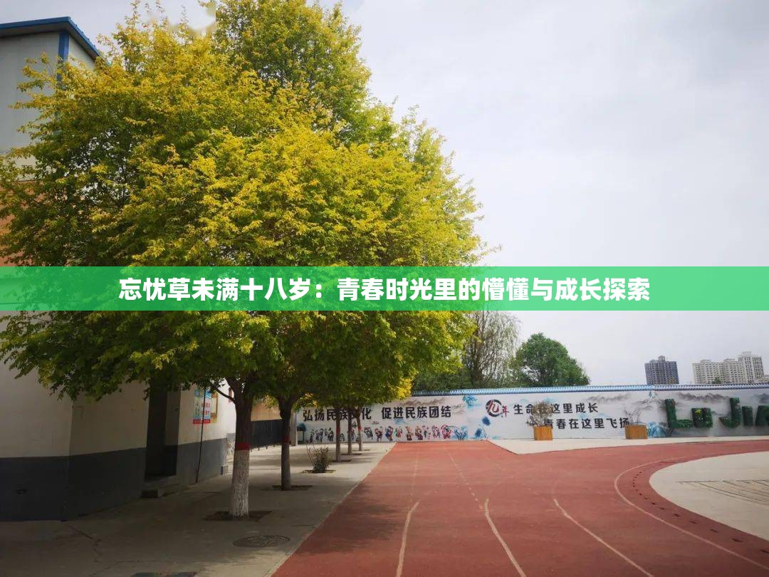 忘忧草未满十八岁：青春时光里的懵懂与成长探索