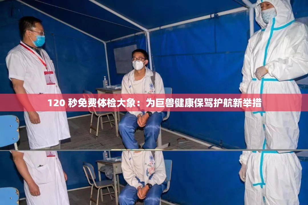 120 秒免费体检大象：为巨兽健康保驾护航新举措