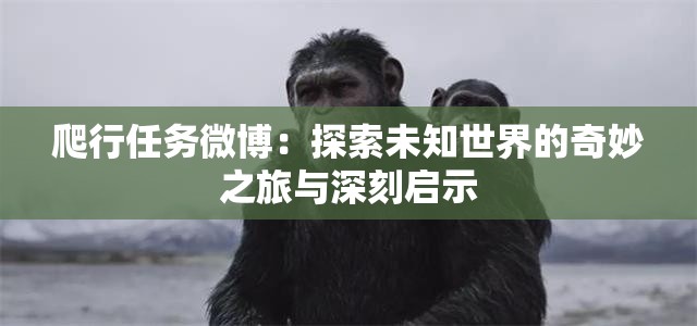 爬行任务微博：探索未知世界的奇妙之旅与深刻启示