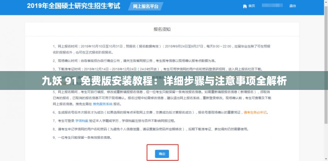 九妖 91 免费版安装教程：详细步骤与注意事项全解析