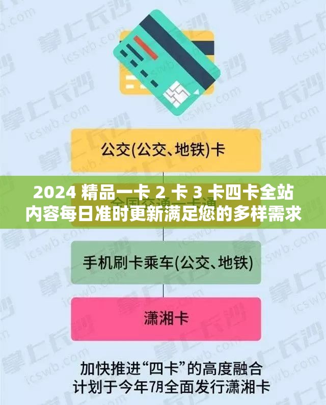 2024 精品一卡 2 卡 3 卡四卡全站内容每日准时更新满足您的多样需求