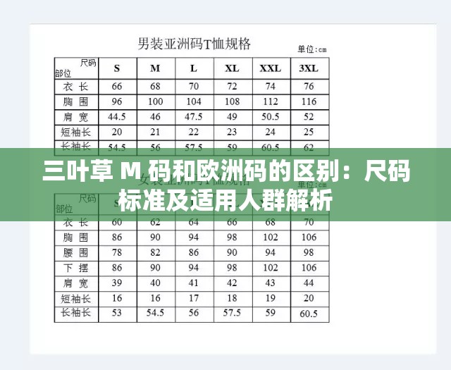 三叶草 M 码和欧洲码的区别：尺码标准及适用人群解析