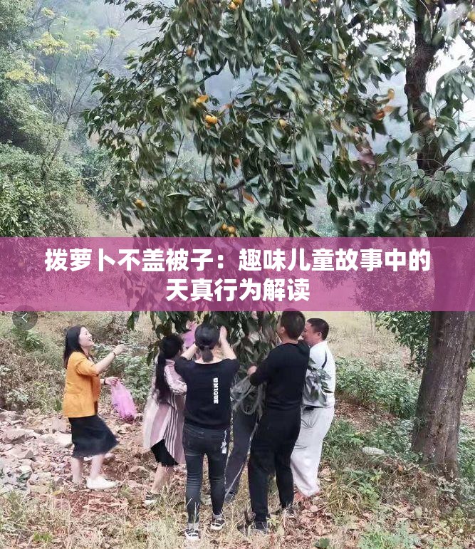 拨萝卜不盖被子：趣味儿童故事中的天真行为解读