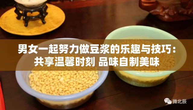 男女一起努力做豆浆的乐趣与技巧：共享温馨时刻 品味自制美味