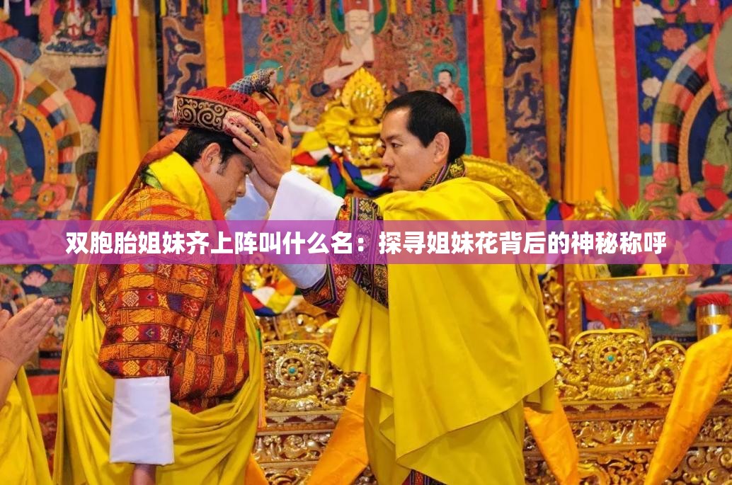 双胞胎姐妹齐上阵叫什么名：探寻姐妹花背后的神秘称呼