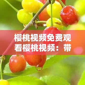 樱桃视频免费观看樱桃视频：带你领略精彩视听盛宴