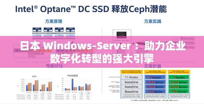 日本 Windows-Server ：助力企业数字化转型的强大引擎