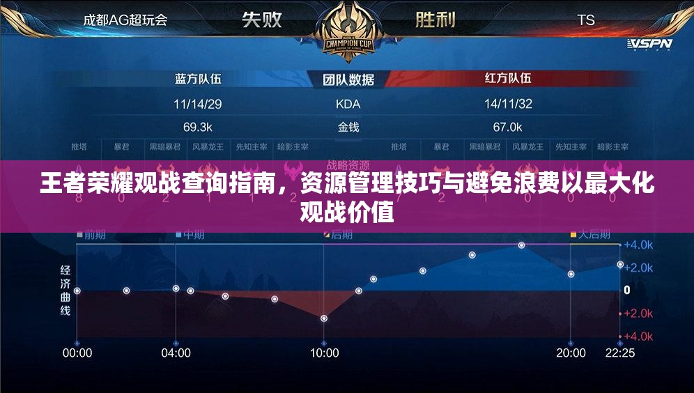 王者荣耀观战查询指南，资源管理技巧与避免浪费以最大化观战价值