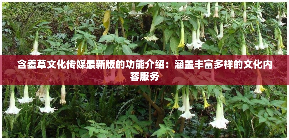 含羞草文化传媒最新版的功能介绍：涵盖丰富多样的文化内容服务