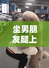 坐男朋友腿上应该穿短裤还是裙子：时尚搭配与亲密时刻的选择