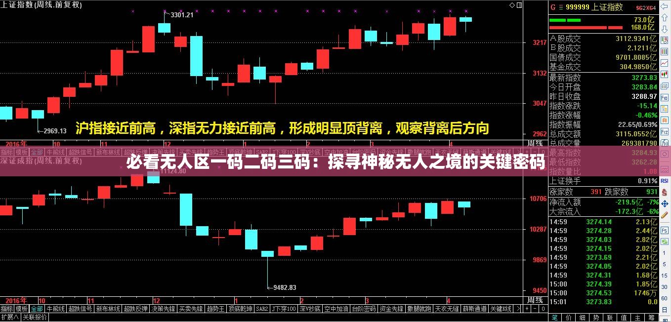 必看无人区一码二码三码：探寻神秘无人之境的关键密码