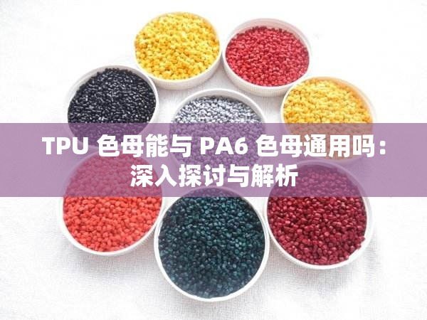 TPU 色母能与 PA6 色母通用吗：深入探讨与解析