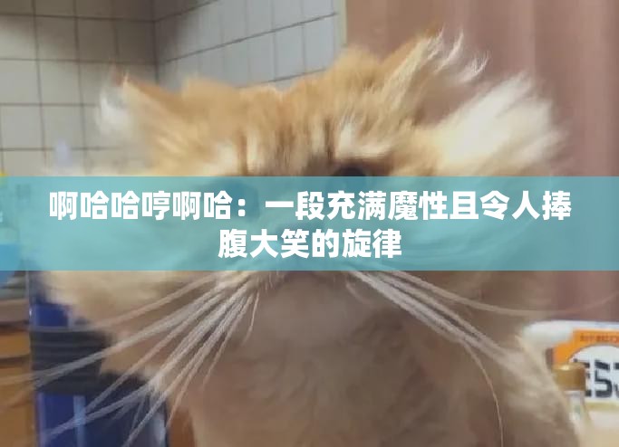 啊哈哈哼啊哈：一段充满魔性且令人捧腹大笑的旋律