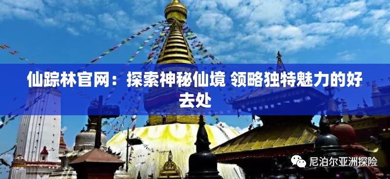 仙踪林官网：探索神秘仙境 领略独特魅力的好去处