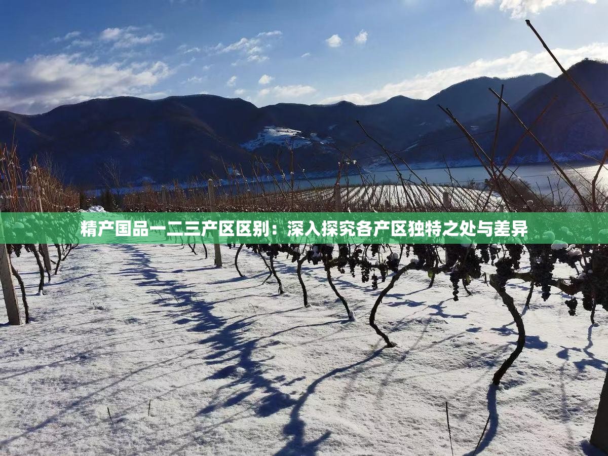 精产国品一二三产区区别：深入探究各产区独特之处与差异