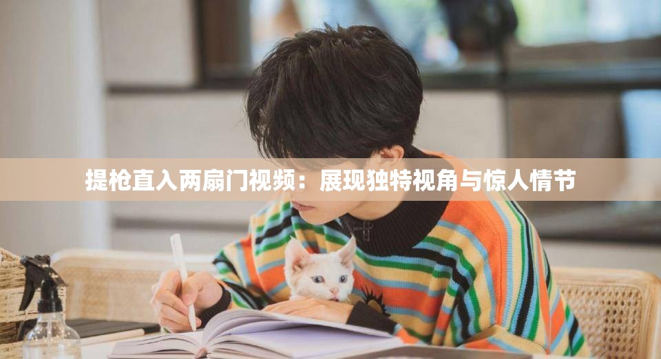 提枪直入两扇门视频：展现独特视角与惊人情节