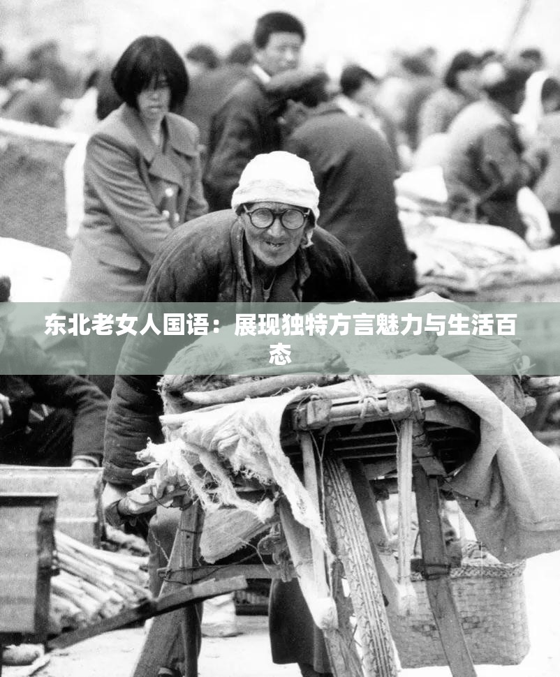 东北老女人国语：展现独特方言魅力与生活百态