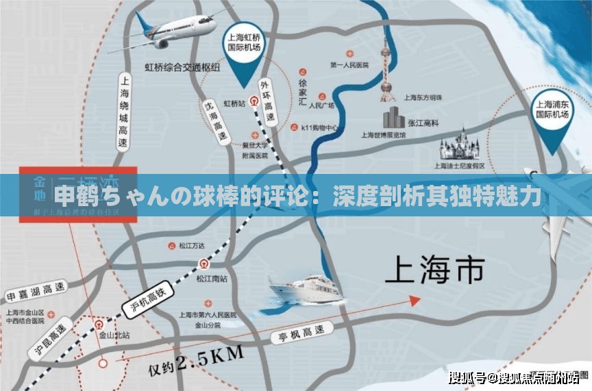 申鹤ちゃんの球棒的评论：深度剖析其独特魅力