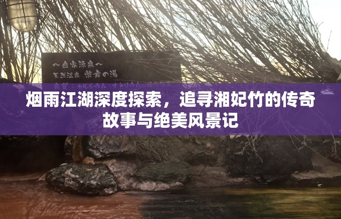 烟雨江湖深度探索，追寻湘妃竹的传奇故事与绝美风景记