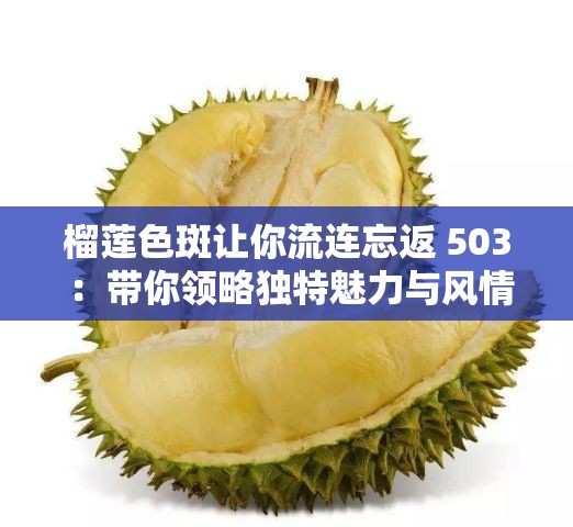 榴莲色斑让你流连忘返 503 ：带你领略独特魅力与风情