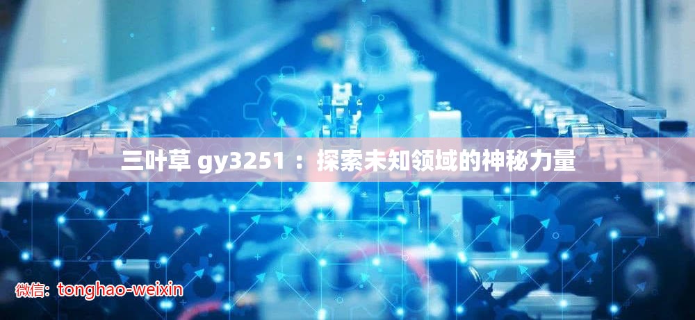 三叶草 gy3251 ：探索未知领域的神秘力量