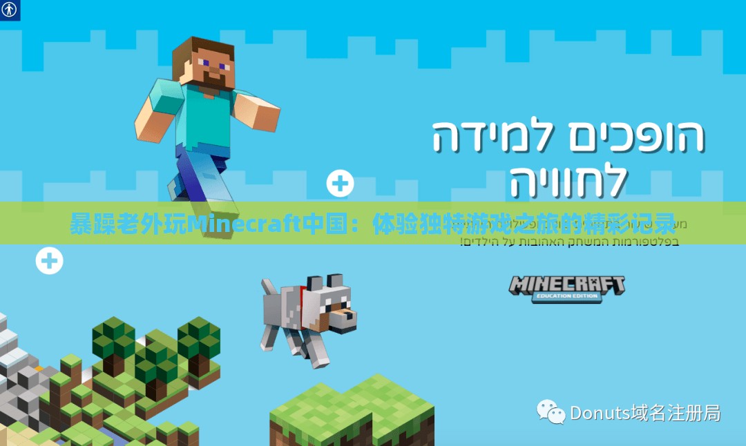 暴躁老外玩Minecraft中国：体验独特游戏之旅的精彩记录