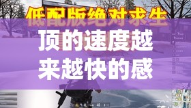 顶的速度越来越快的感觉：带你领略极速巅峰之旅