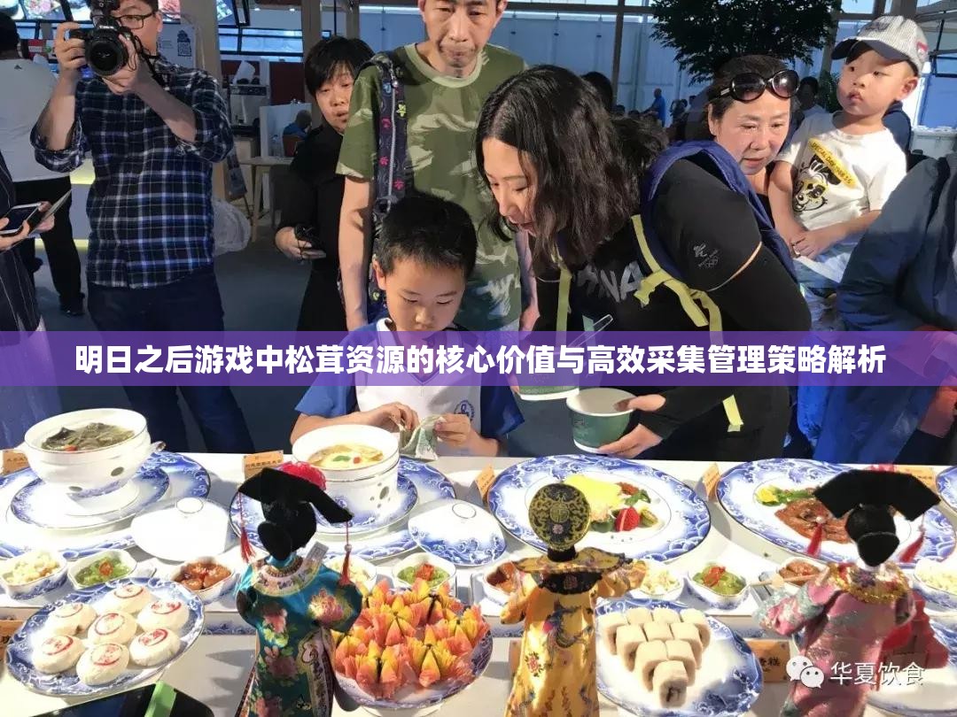 明日之后游戏中松茸资源的核心价值与高效采集管理策略解析