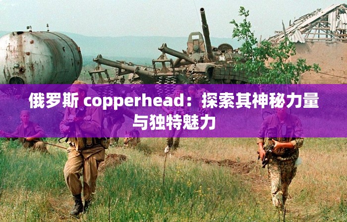 俄罗斯 copperhead：探索其神秘力量与独特魅力