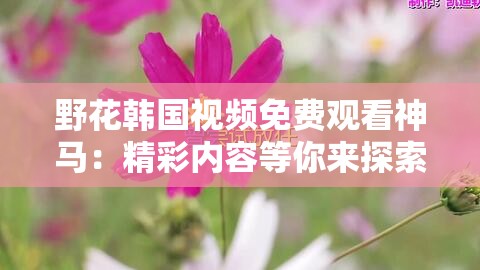 野花韩国视频免费观看神马：精彩内容等你来探索