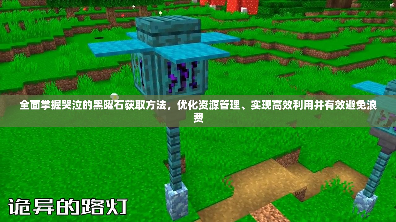 全面掌握哭泣的黑曜石获取方法，优化资源管理、实现高效利用并有效避免浪费