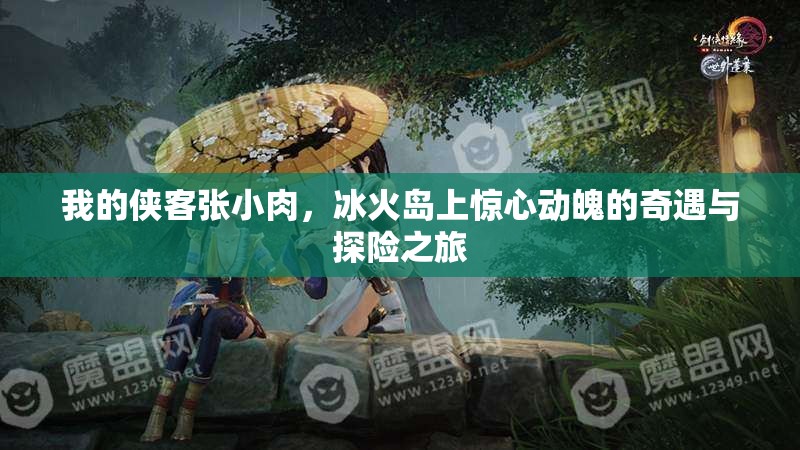 我的侠客张小肉，冰火岛上惊心动魄的奇遇与探险之旅