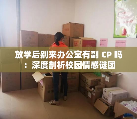 放学后别来办公室有副 CP 吗：深度剖析校园情感谜团