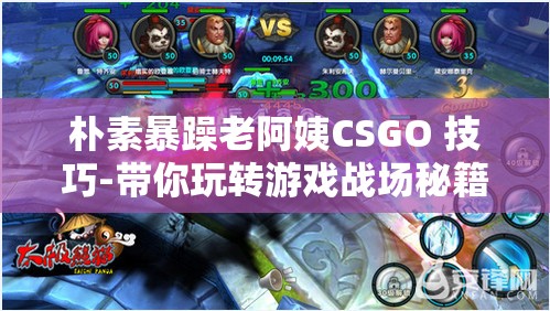 朴素暴躁老阿姨CSGO 技巧-带你玩转游戏战场秘籍
