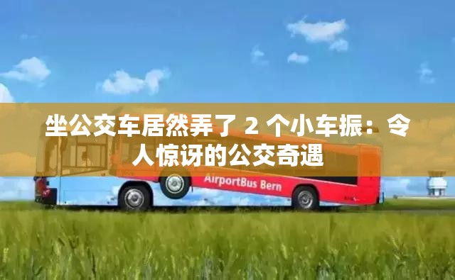 坐公交车居然弄了 2 个小车振：令人惊讶的公交奇遇