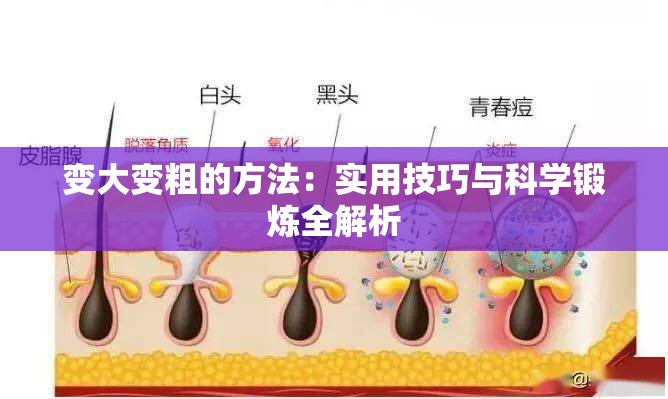 变大变粗的方法：实用技巧与科学锻炼全解析