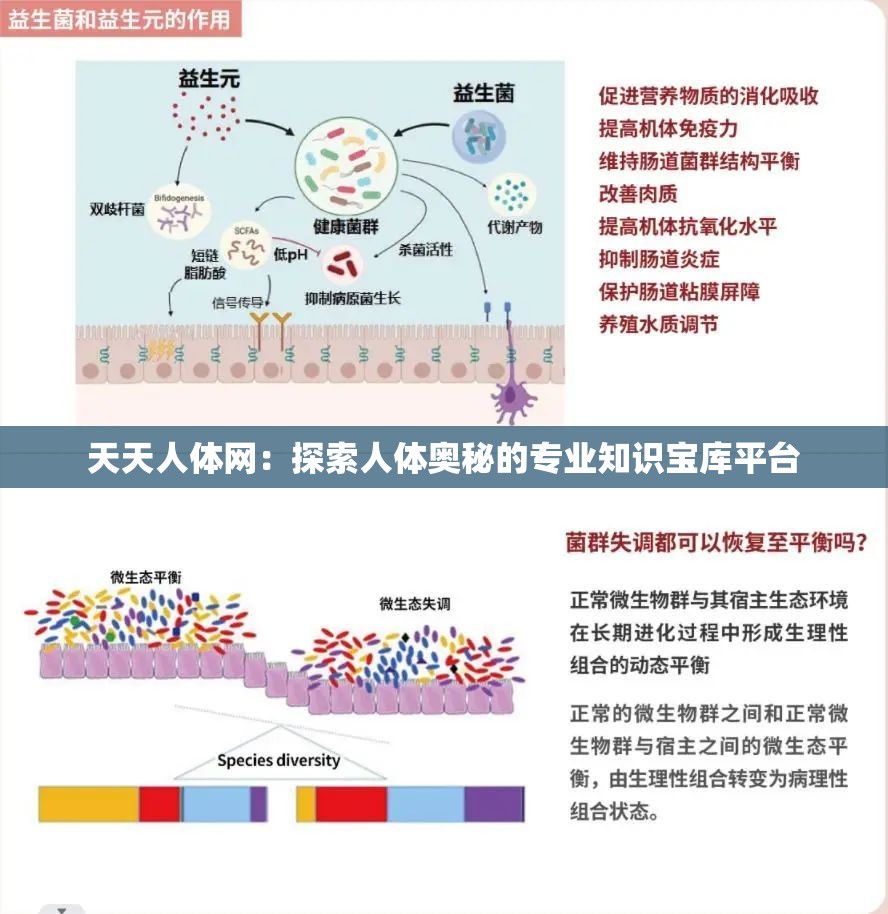 天天人体网：探索人体奥秘的专业知识宝库平台