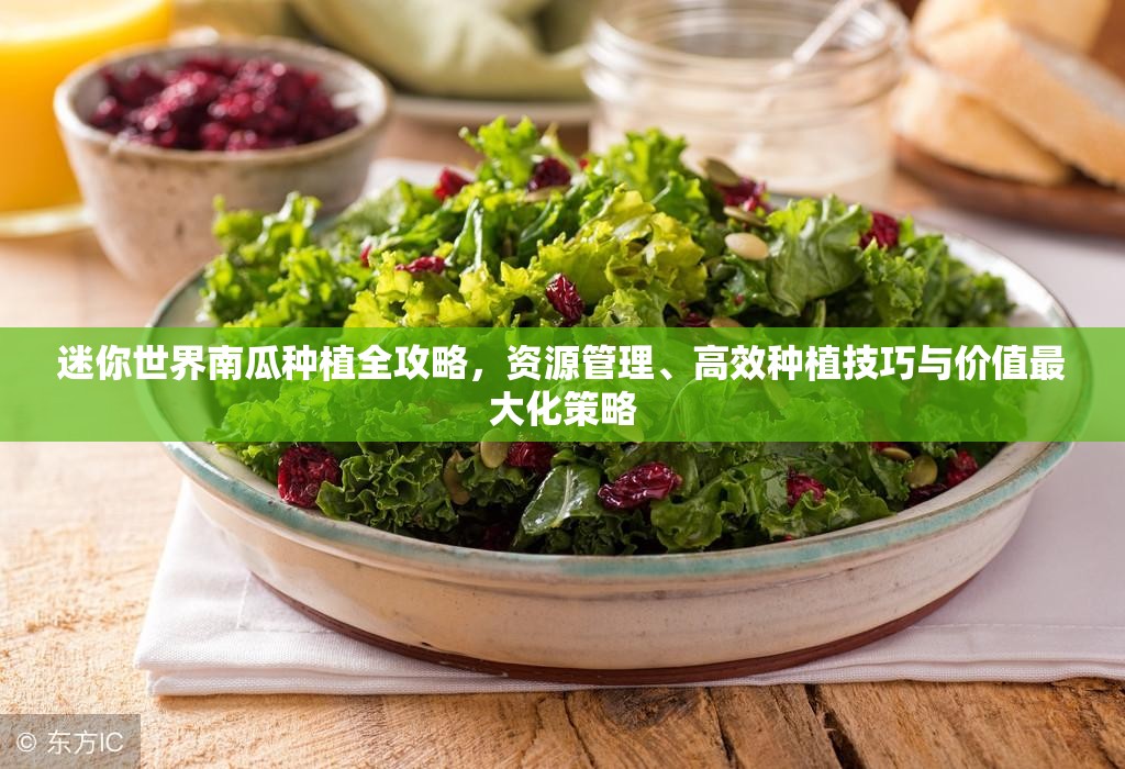 迷你世界南瓜种植全攻略，资源管理、高效种植技巧与价值最大化策略