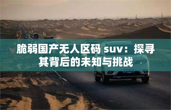 脆弱国产无人区码 suv：探寻其背后的未知与挑战