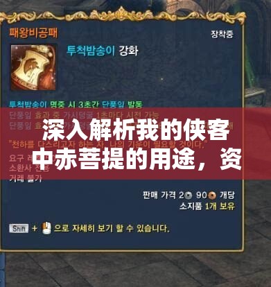 深入解析我的侠客中赤菩提的用途，资源管理策略、高效利用方法及最大化价值探索