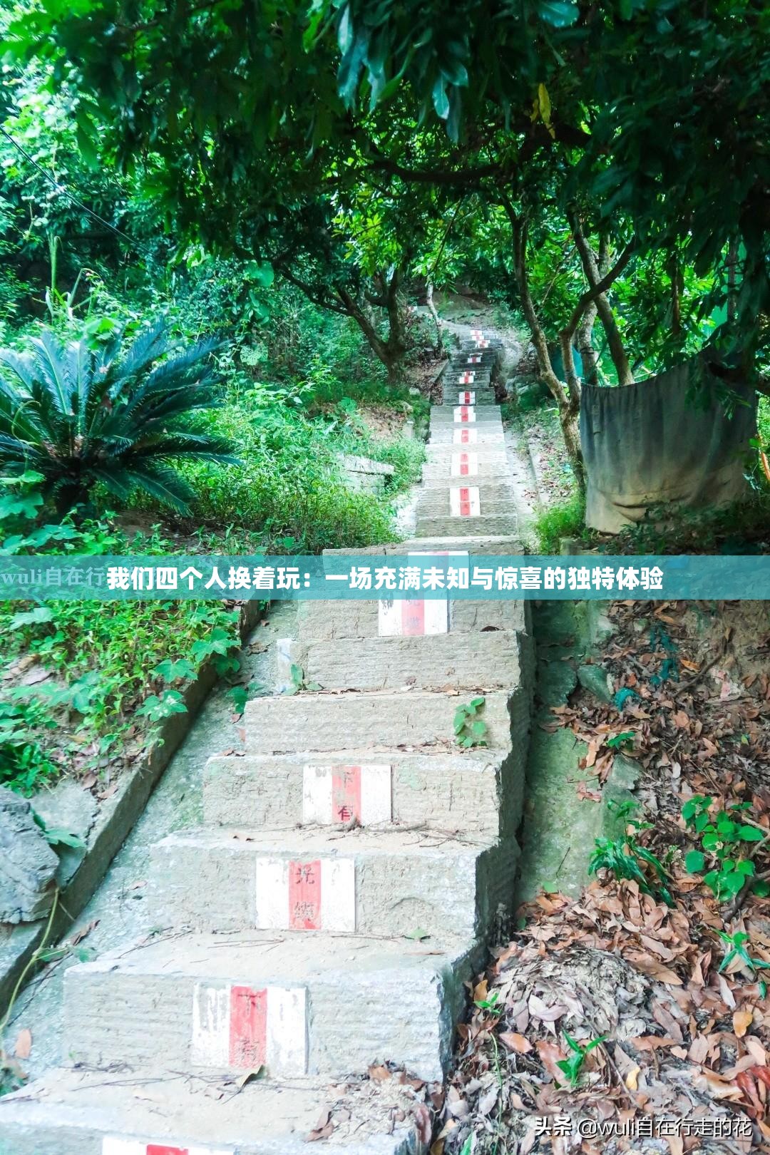 我们四个人换着玩：一场充满未知与惊喜的独特体验