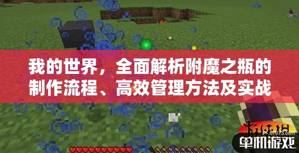 我的世界，全面解析附魔之瓶的制作流程、高效管理方法及实战使用策略
