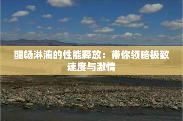 酣畅淋漓的性能释放：带你领略极致速度与激情