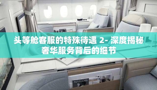 头等舱客服的特殊待遇 2- 深度揭秘奢华服务背后的细节