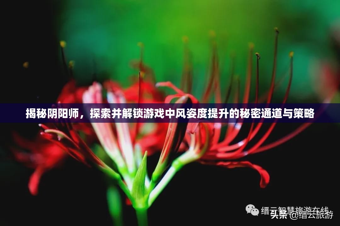 揭秘阴阳师，探索并解锁游戏中风姿度提升的秘密通道与策略